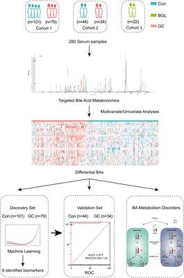 Metabolomics study identified bile acids as potential biomarkers for gastric cancer: A case control study